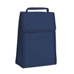 Faltbare Kühltasche aus Non Woven mit Klettverschluss, 80 g/m2 farbe blau