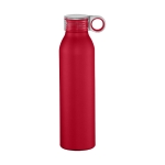 Auslaufsichere Flasche im matten Design, 650 ml farbe rot