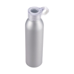 Auslaufsichere Flasche im matten Design, 650 ml farbe silber