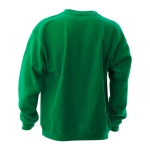 Günstiges Sweatshirt aus Baumwolle und Polyester, 280 g/m2, Keya farbe grün