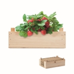 Kleines Anbauset für Erdbeeren mit Kiste und Erde für zu Hause farbe holzton