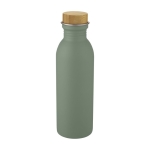 Schlichte Edelstahlflasche mit Deckel aus Bambus, BPA-frei, 650 ml farbe mintgrün