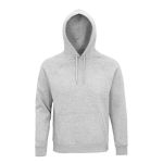 Unisex-Sweatshirt aus Öko-Materialien mit Kapuze, 280 g/m2, Stellar farbe hellgrau