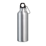 Große farbige Aluminiumflasche mit Karabiner, 800 ml farbe silber