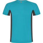 Herren-Sportshirt aus Polyester, 140 g/m2, Roly farbe türkis