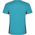 Herren-Sportshirt aus Polyester, 140 g/m2, Roly farbe türkis zweite Rückansicht