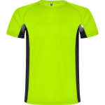 Herren-Sportshirt aus Polyester, 140 g/m2, Roly farbe neongrün