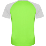 Kurzarm-Unisex-Sportshirt aus Polyester, 140 g/m2, Roly farbe neongrün zweite Rückansicht