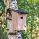 Vogelhaus mit 30-mm-Öffnung und Schlitz für Entwässerung farbe holzton fünfte Ansicht